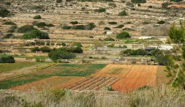 sporting-facilities-pr